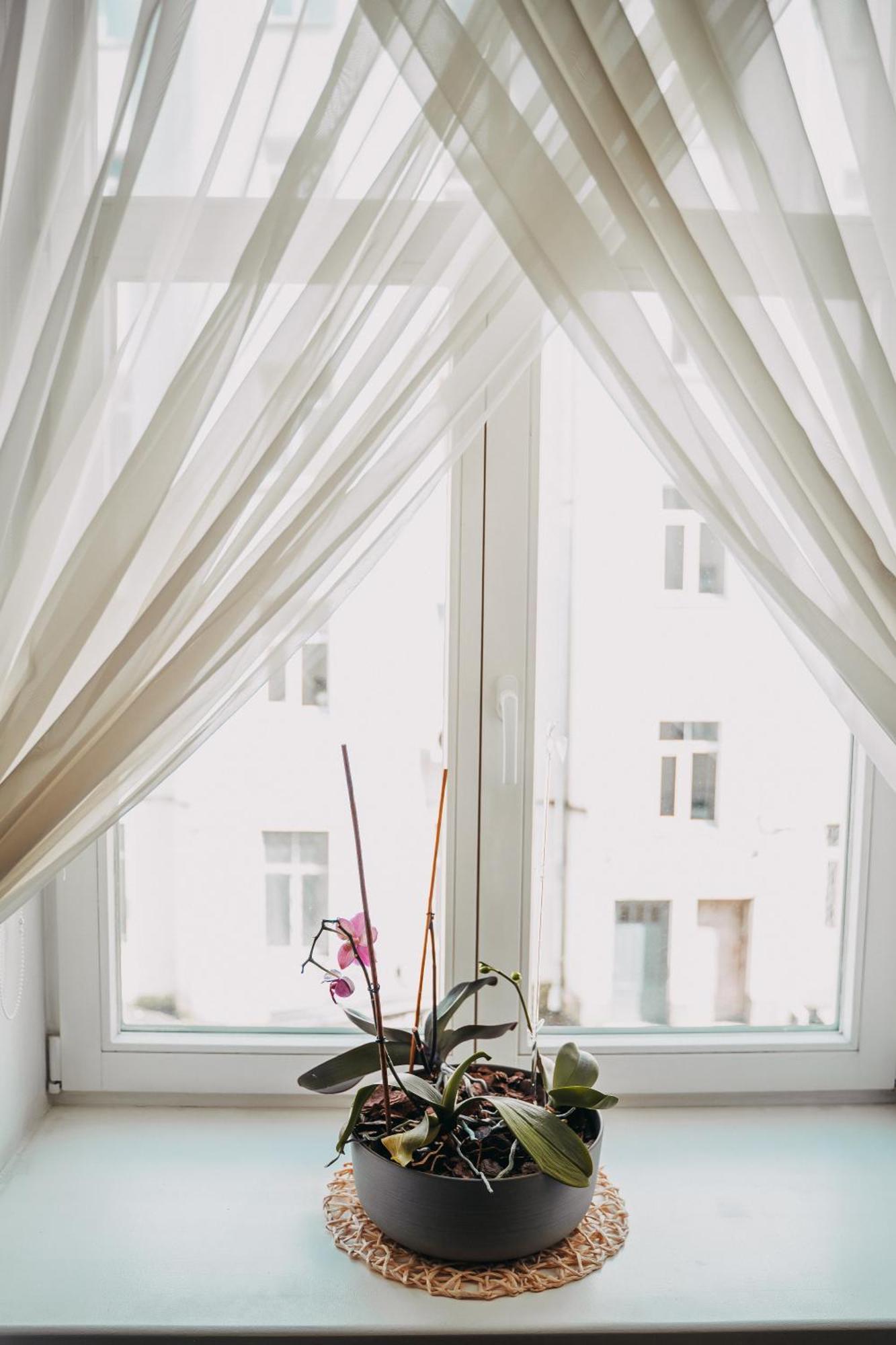 Family Apartment In Riga Center And Free Parking Exteriér fotografie